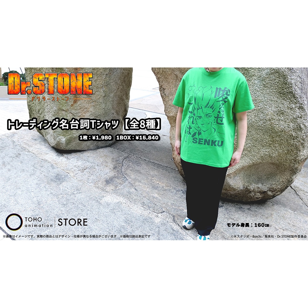 Dr.STONE g[fBO䎌TVcyS8z Rv[gZbg