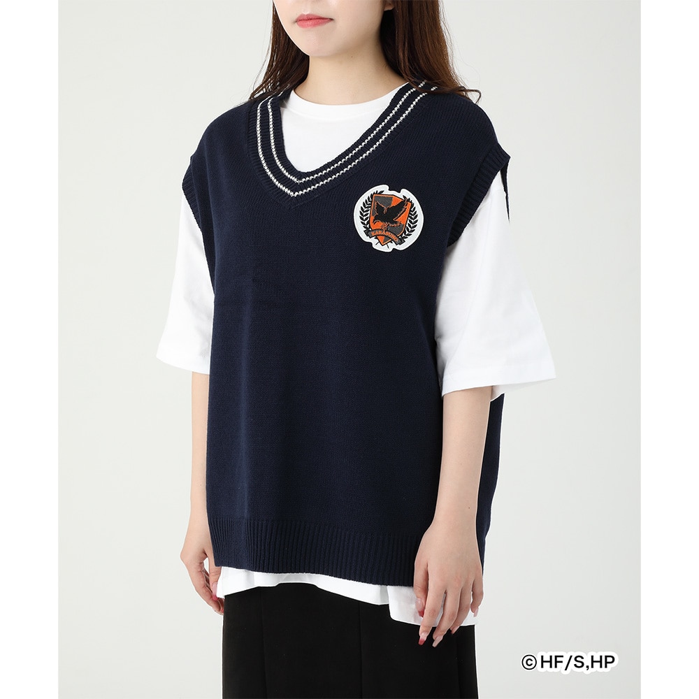 AjunCL[!!v×ZOZOTOWN KNIT VEST G