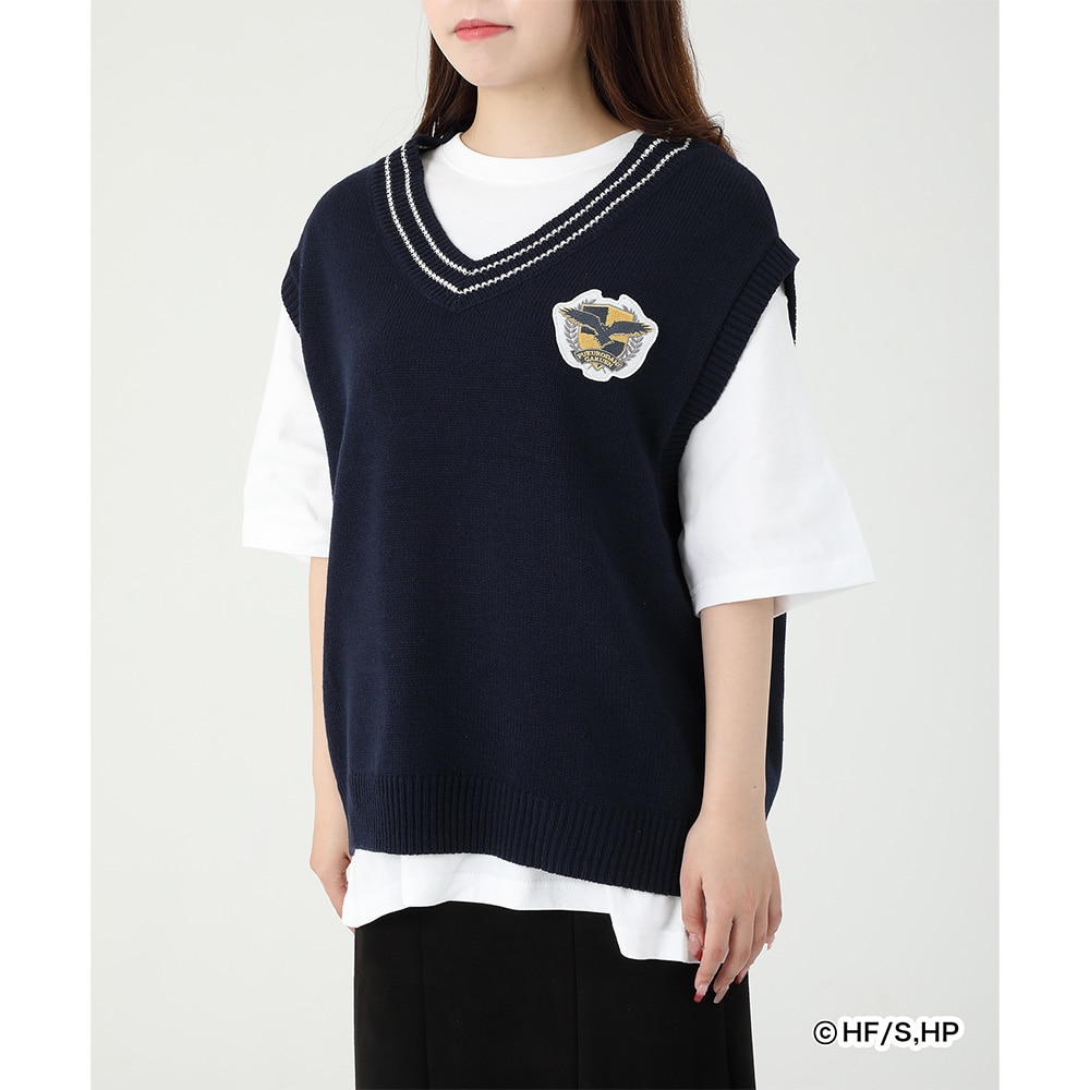 AjunCL[!!v×ZOZOTOWN KNIT VEST Jw