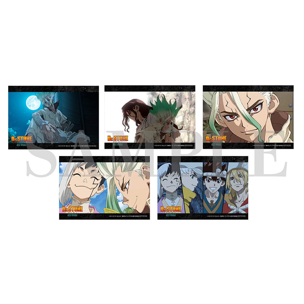wDr.STONEx 3rd SEASON Blu-ray BOX 2 񐶎Y
