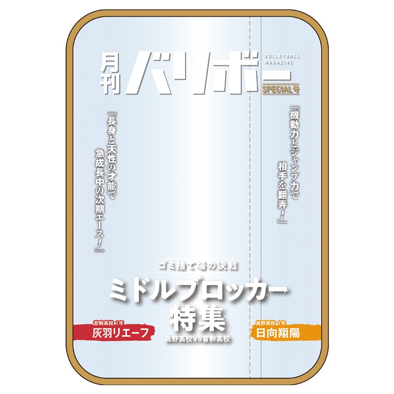 日向翔陽・灰羽リエーフ