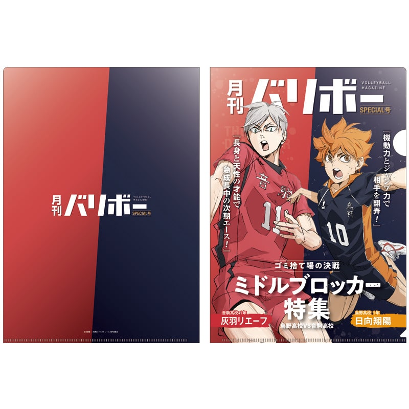 日向翔陽・灰羽リエーフ