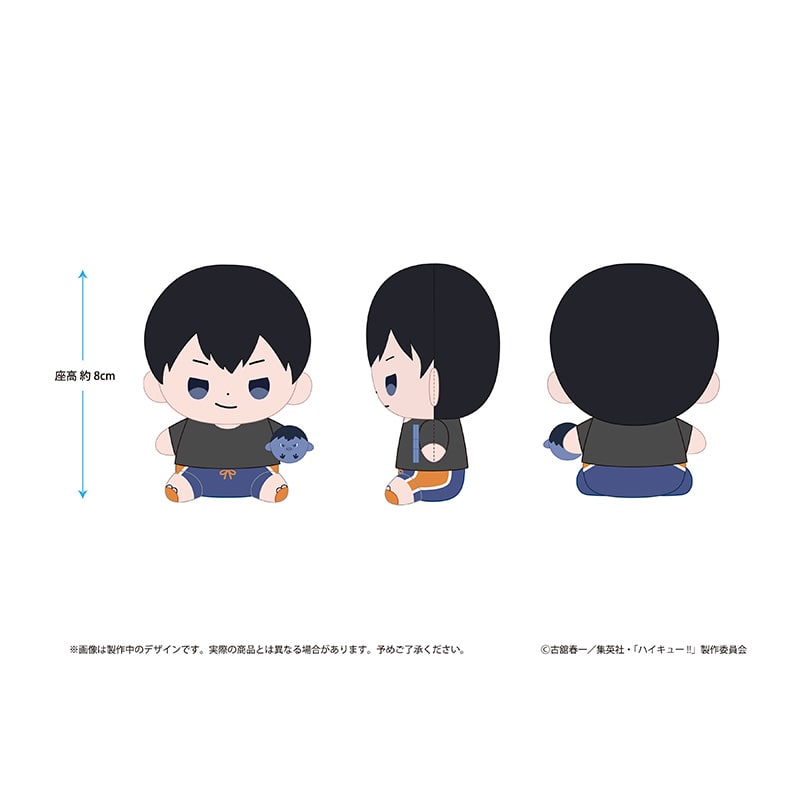 影山飛雄 ビーチボールver.