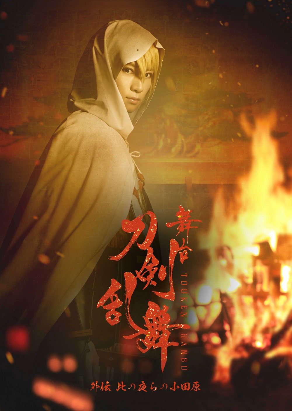 wxO` ̖̏c DVD
