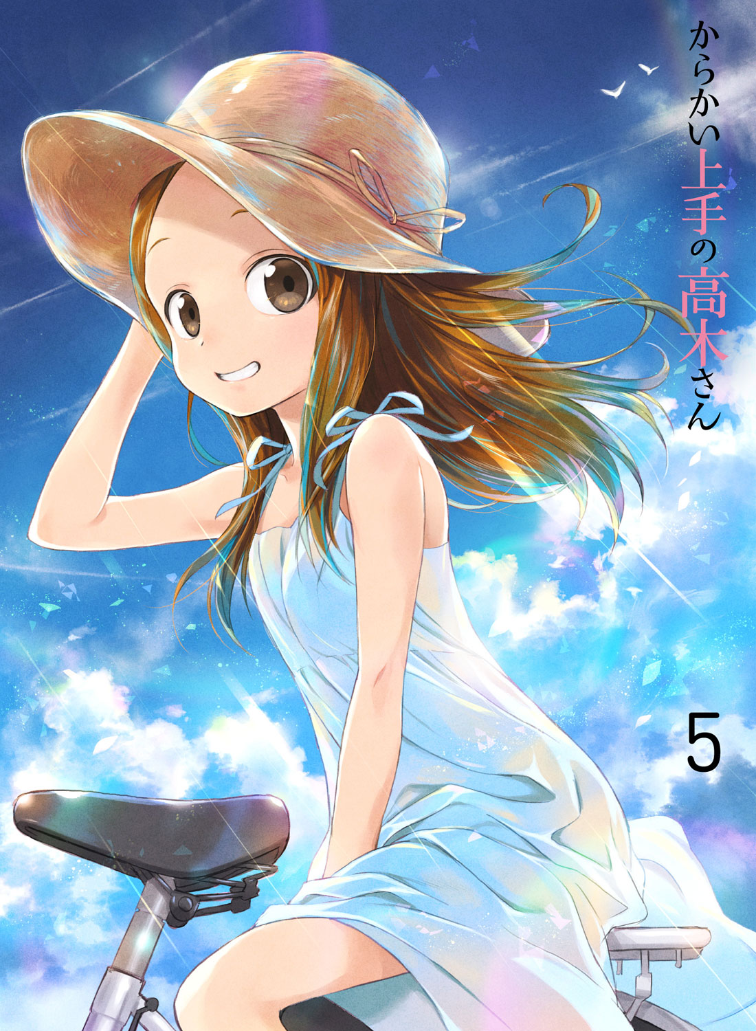 炩̍؂ Vol.5 DVD 񐶎Y