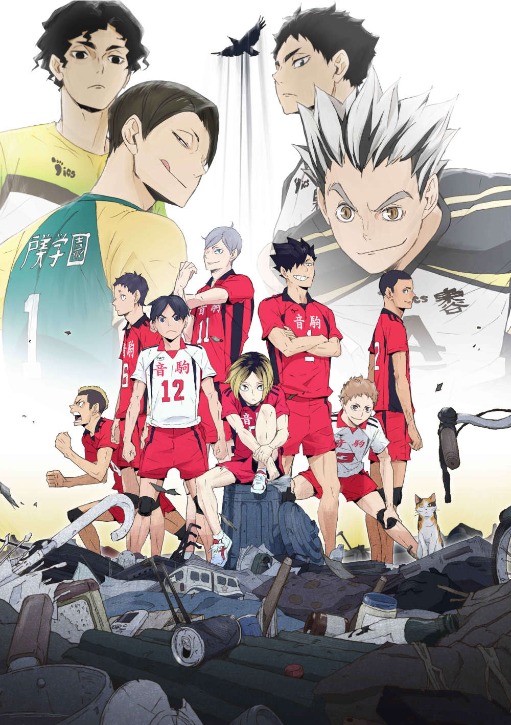 nCL[!! OVAwnCL[!!  VS x DVD 񐶎Y