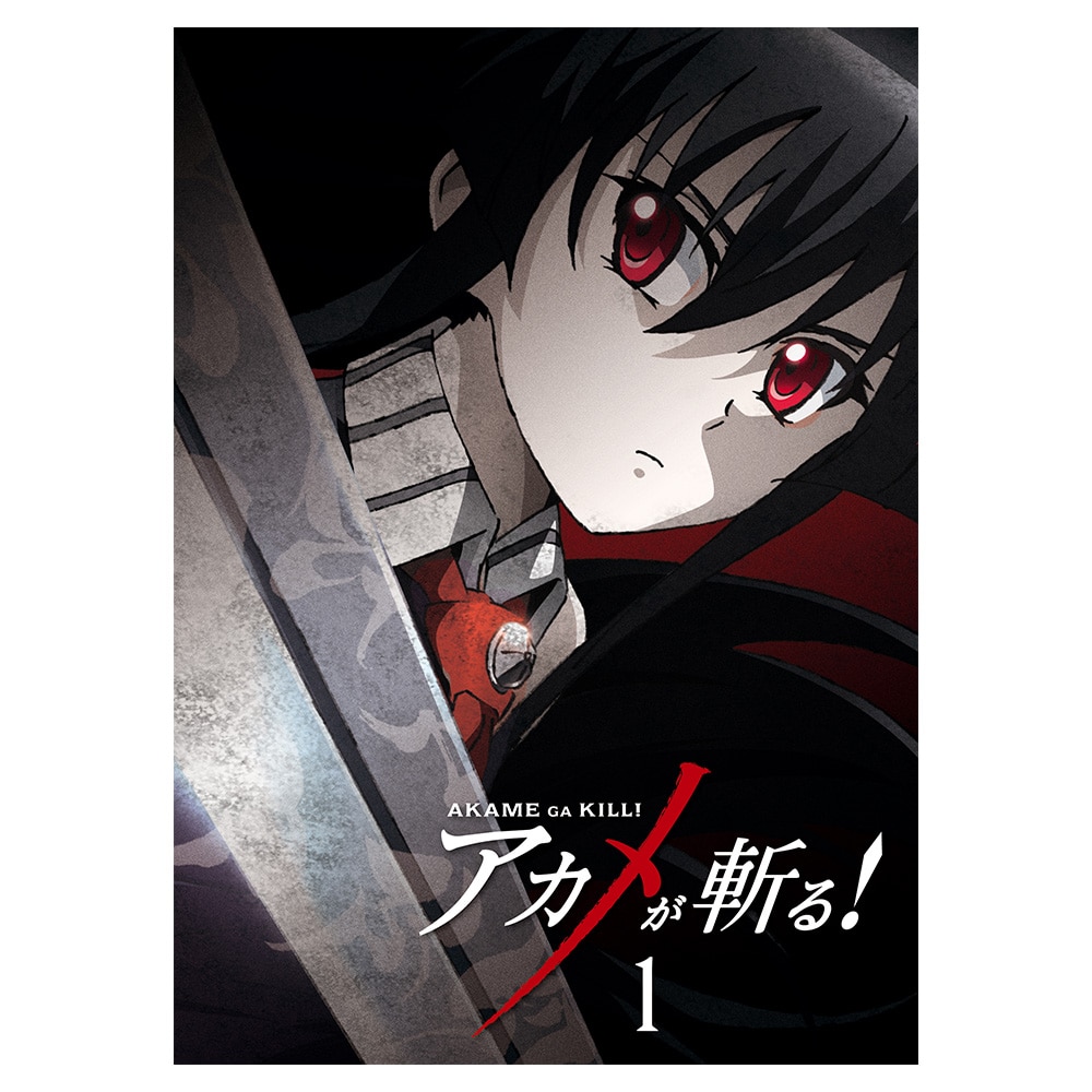 AJaI vol.1 DVD 񐶎Y