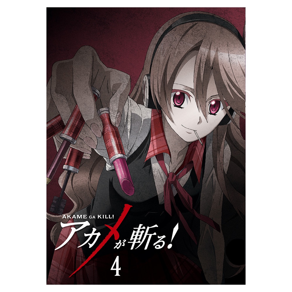 AJaI vol.4 DVD 񐶎Y
