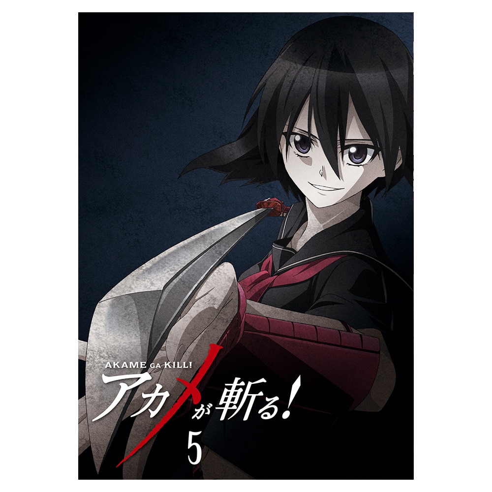 AJaI vol.5 DVD 񐶎Y