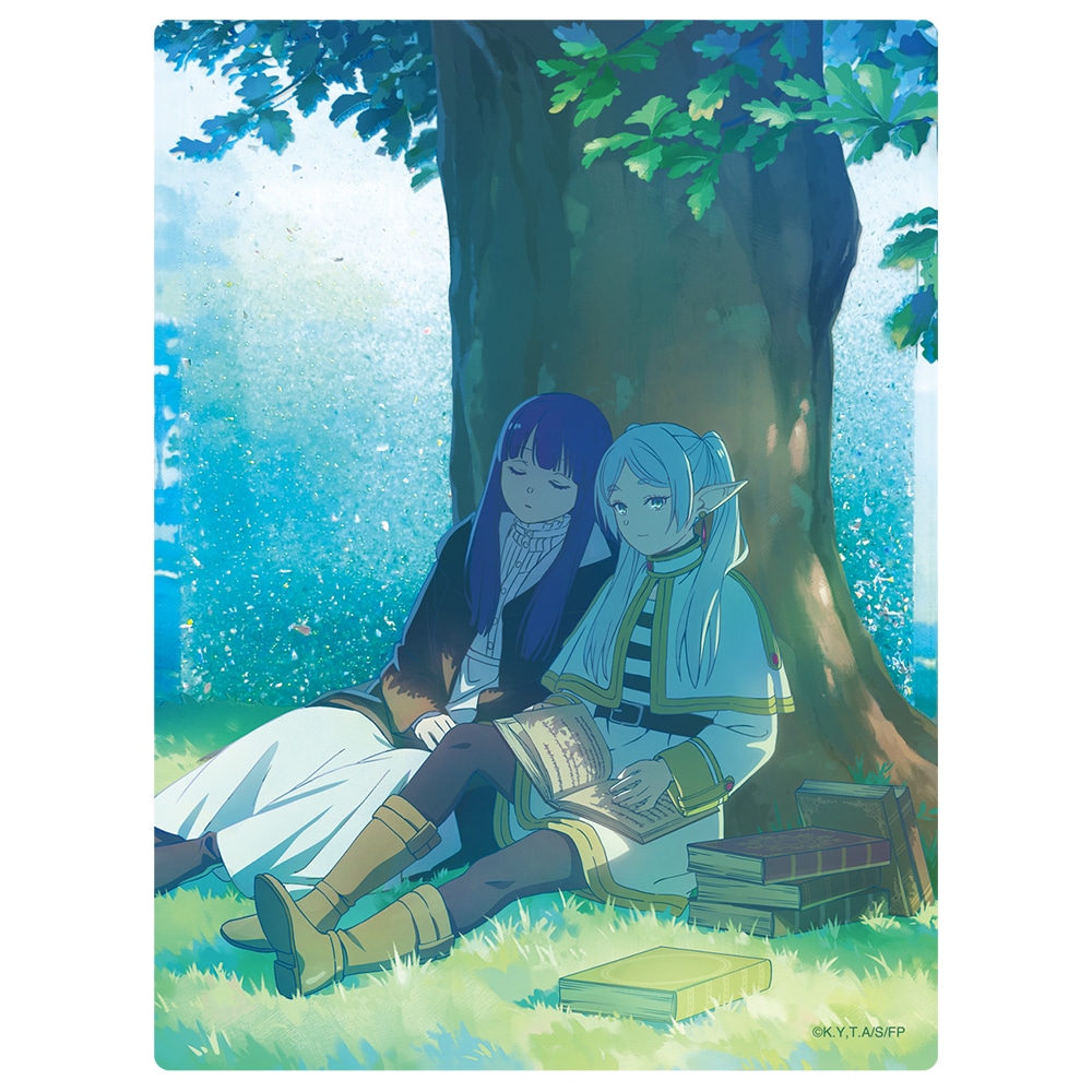 ̃t[ ANpl