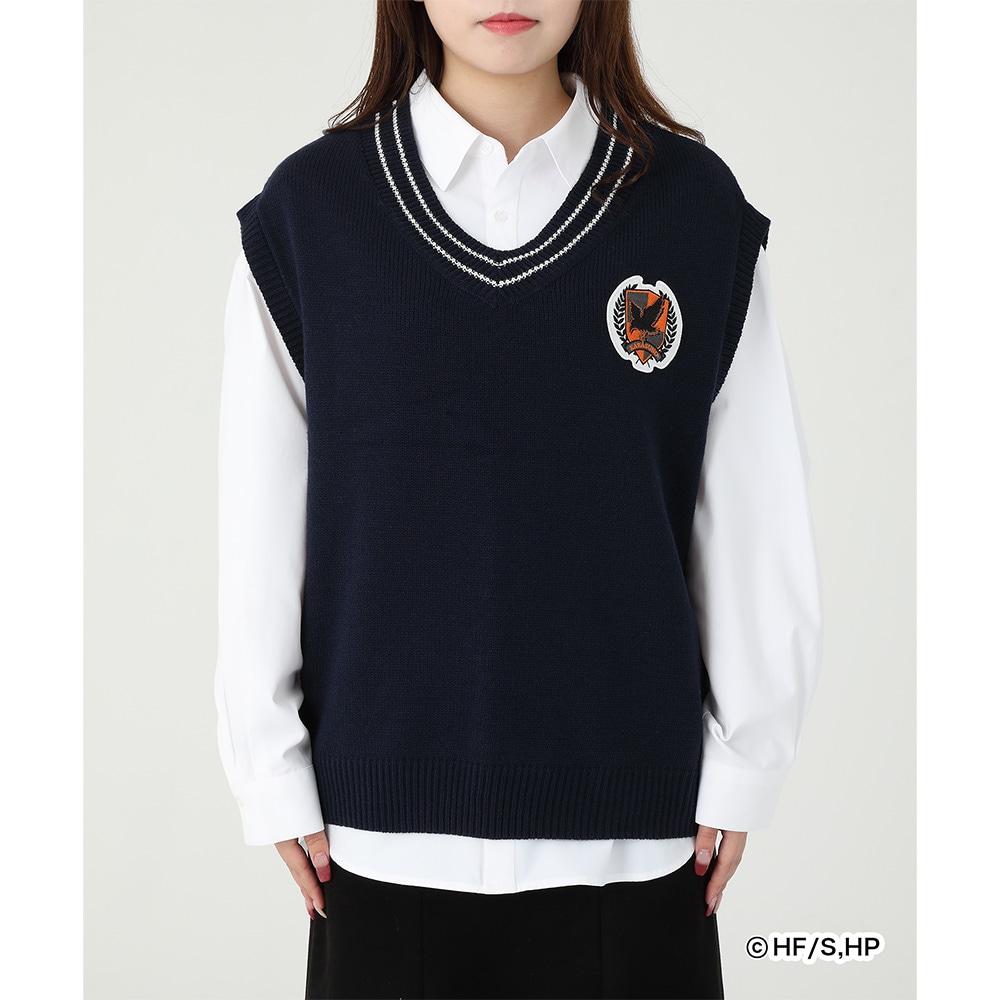 AjunCL[!!v×ZOZOTOWN SHIRTSKNIT VEST SET G