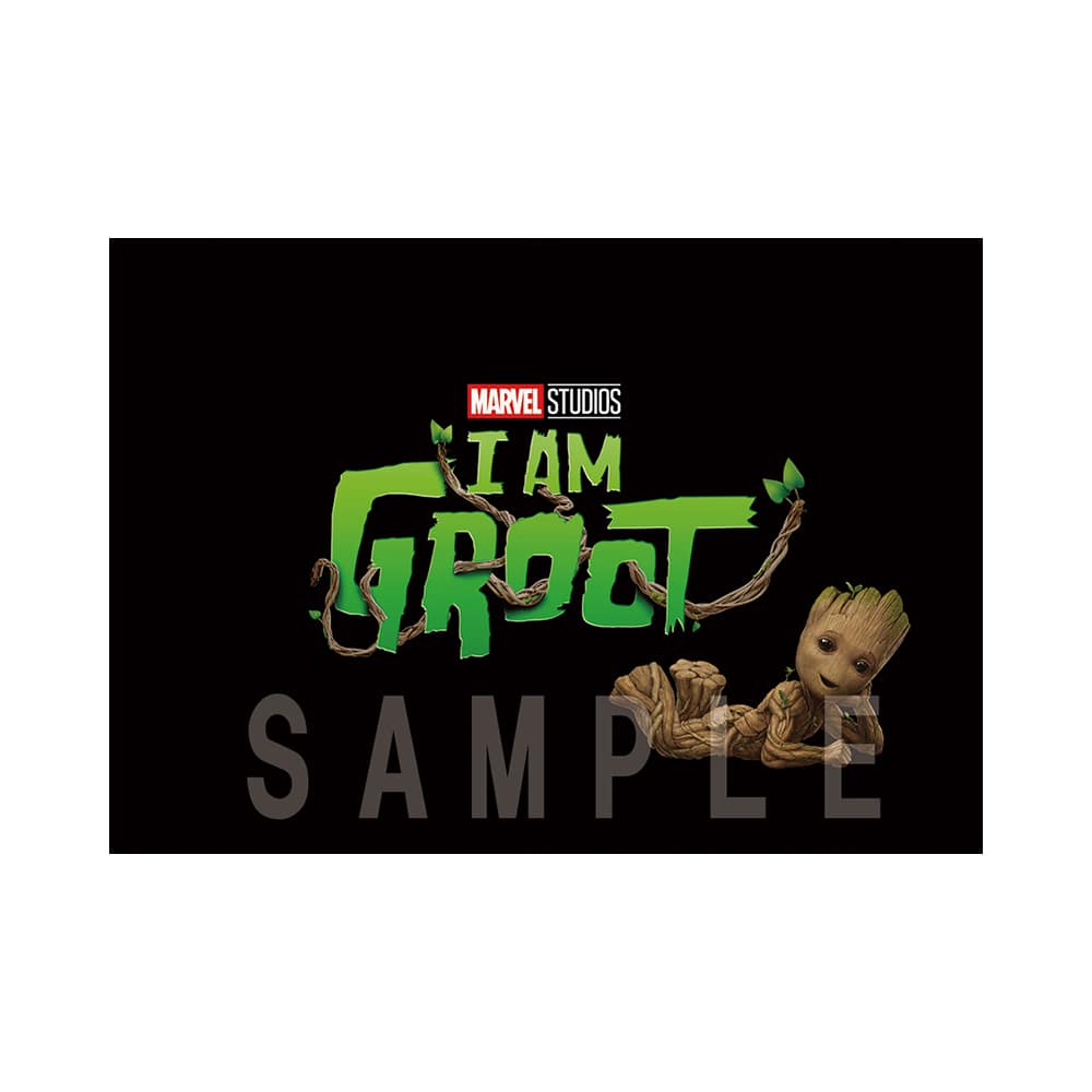 アイ・アム・グルート　パンフレット