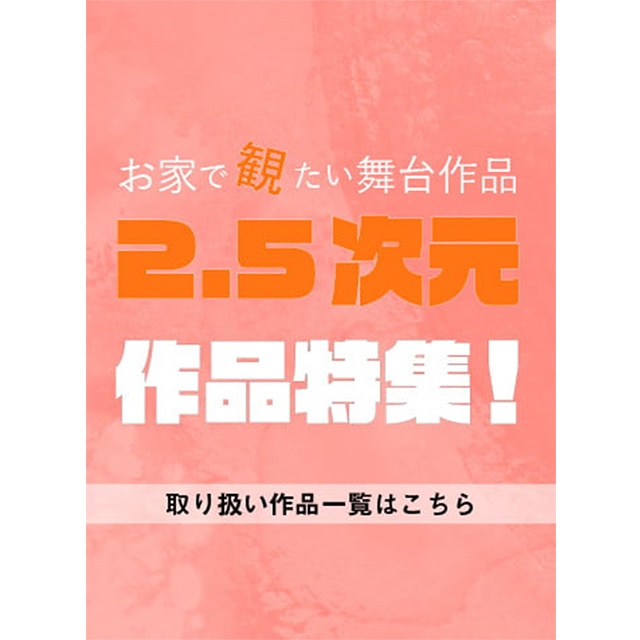 2.5Wy[W͂