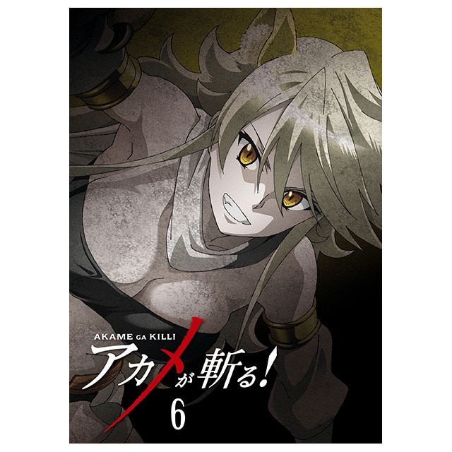 AJaI Vol.6 Blu-ray 񐶎Y