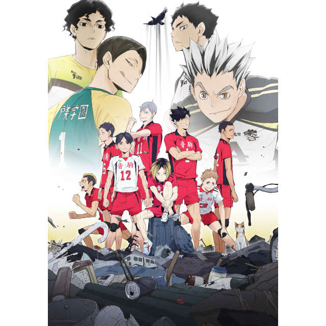 nCL[!! OVAwnCL[!!  VS x DVD 񐶎Y