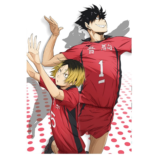 nCL[!! Vol.4 DVD 񐶎Y