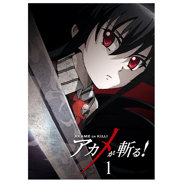 AJaI vol.1 DVD 񐶎Y
