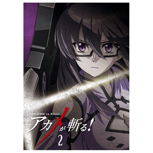 AJaI vol.2 DVD 񐶎Y