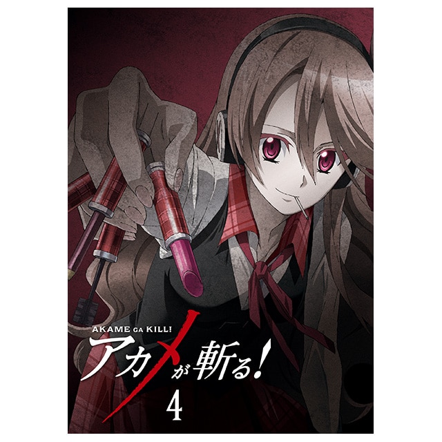 AJaI vol.4 DVD 񐶎Y