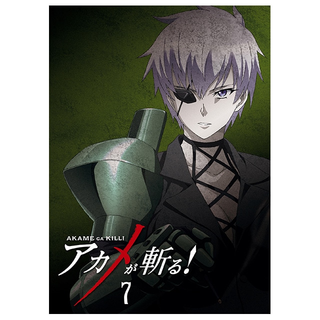AJaI vol.7 DVD 񐶎Y