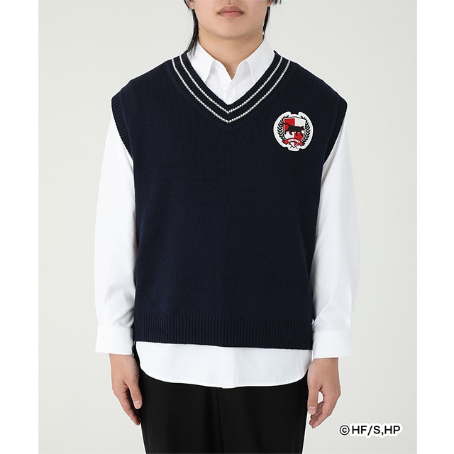 AjunCL[!!v×ZOZOTOWN SHIRTSKNIT VEST SET 