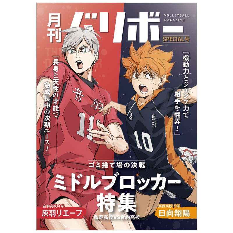 ハイキュー!! ノート 月刊バリボー第2弾（日向翔陽・灰羽リエーフ）
