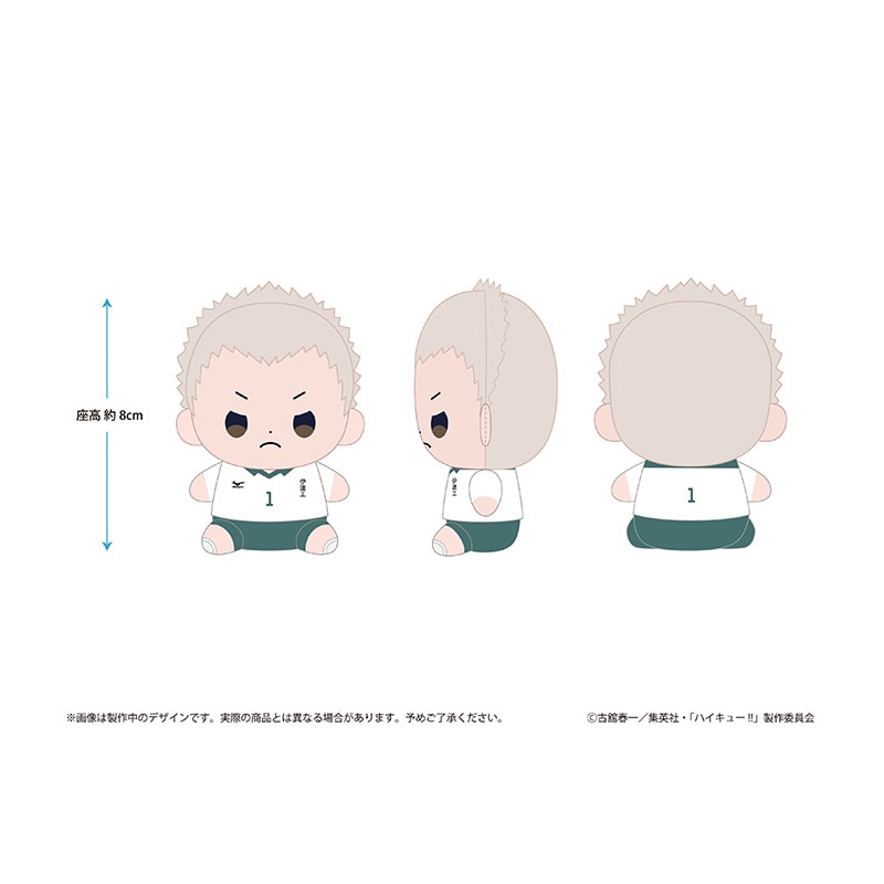 ハイキュー!! もっちび ぬいぐるみ 青根高伸